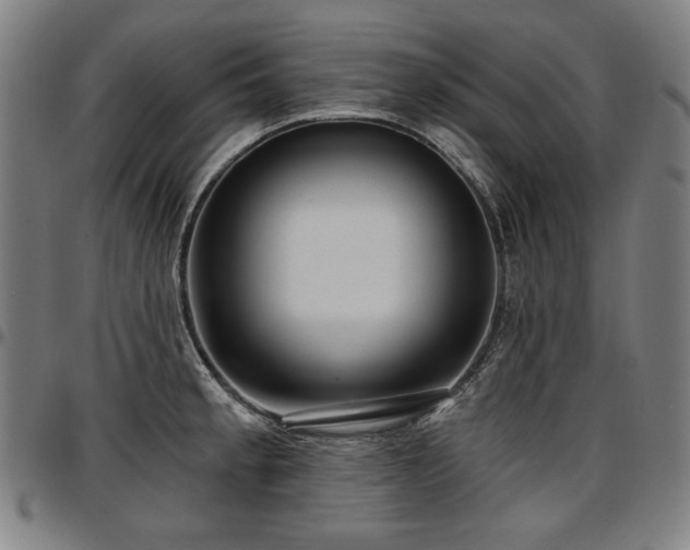 X0000097631189200802291333