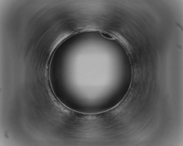 X0000097631190200802291333