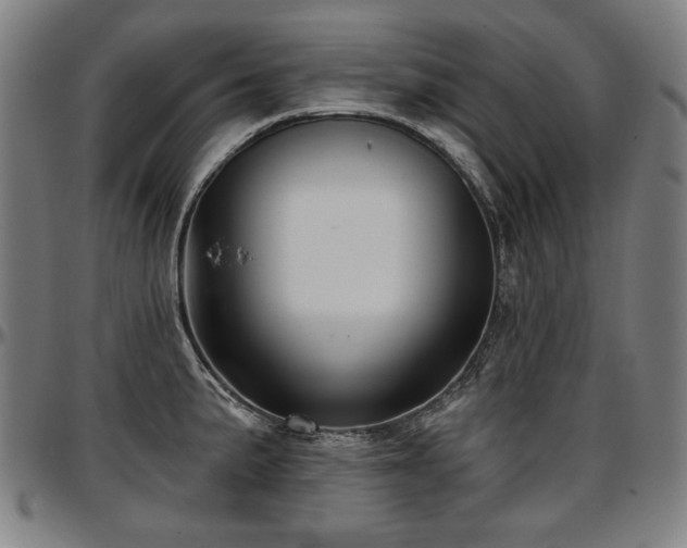 X0000097631191200802291333