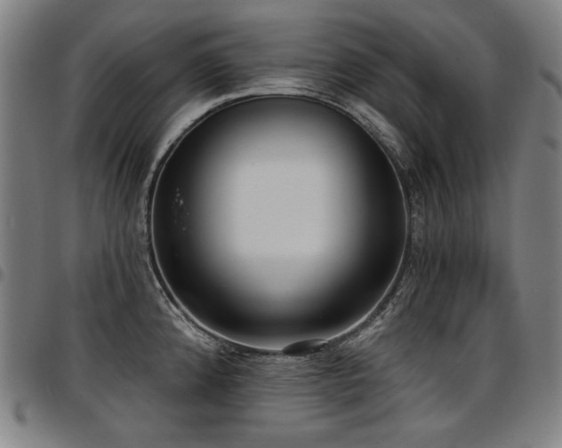 X0000097631192200802291333