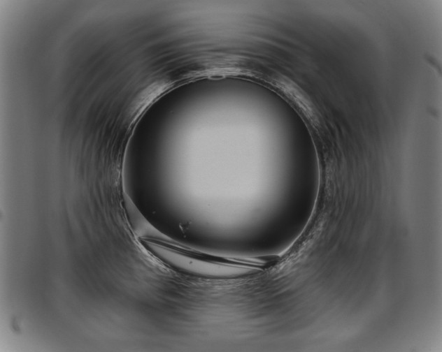 X0000097631193200802291333