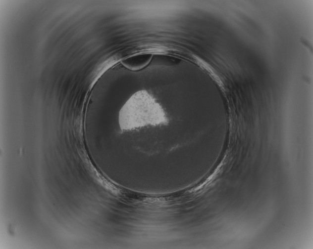 X0000097631194200802291333
