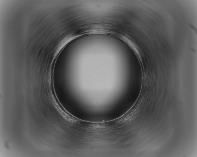 X0000097631195200802291333