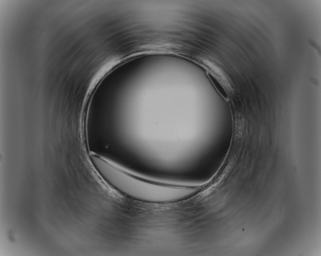 X0000097631196200802291333