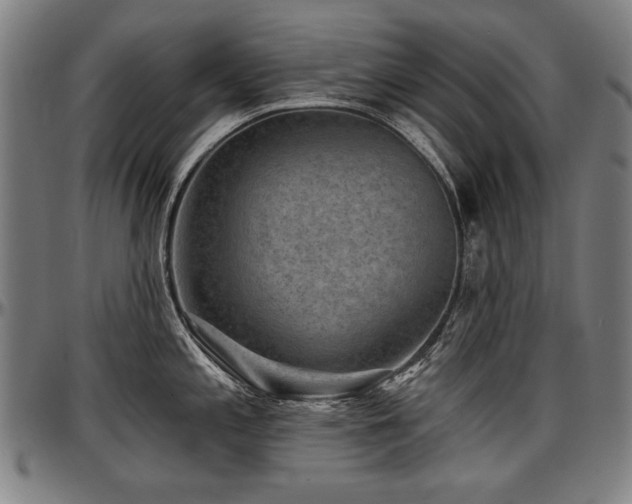 X0000097631197200802291333