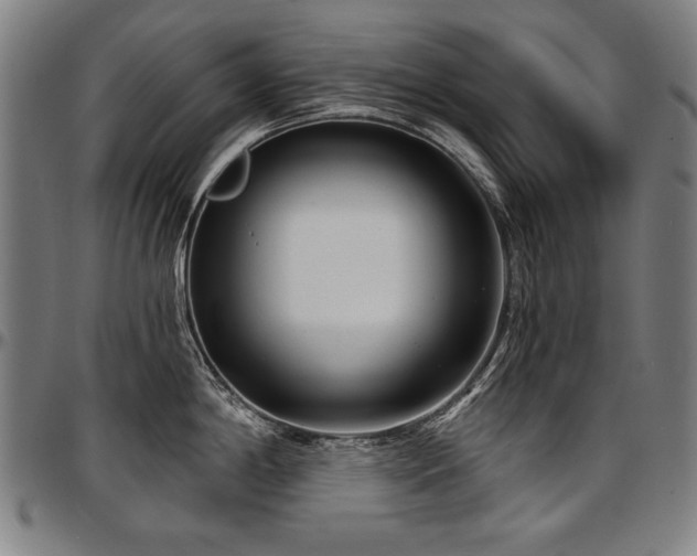 X0000097631198200802291333