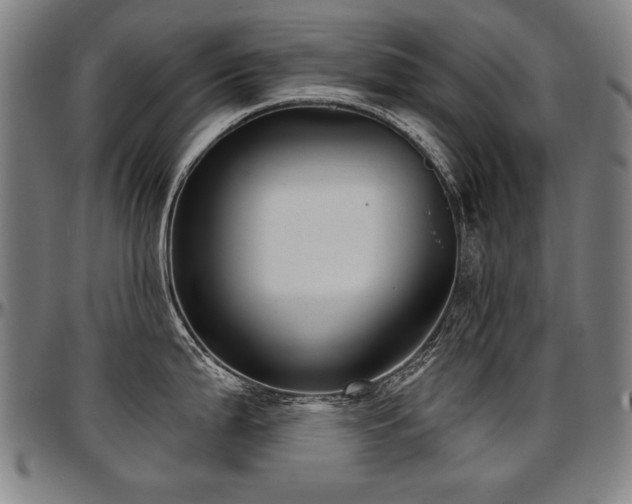 X0000097631199200802291333