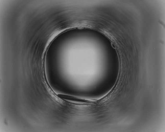 X0000097631200200802291333