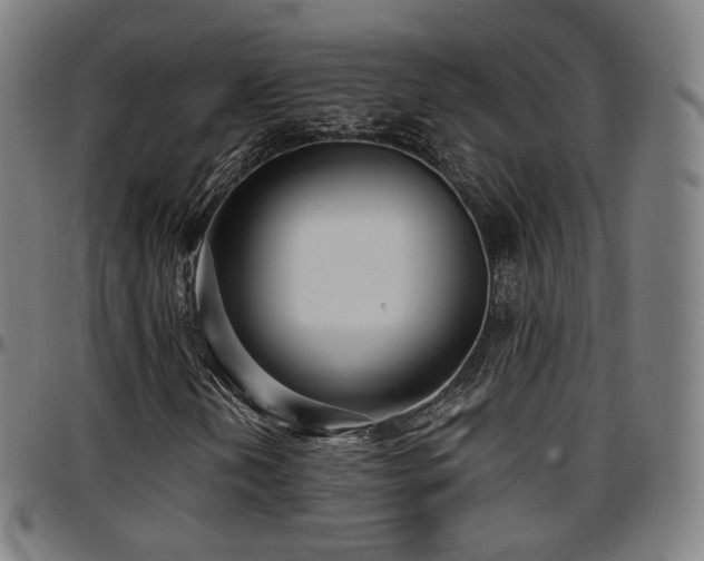 X0000097631202200802291332
