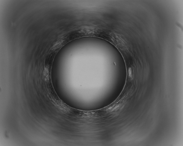 X0000097631203200802291332