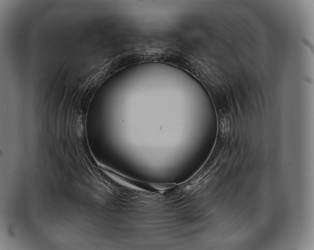 X0000097631204200802291332