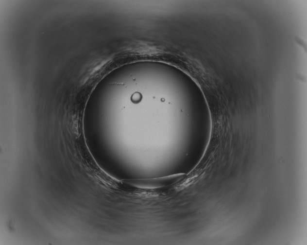 X0000097631205200802291332