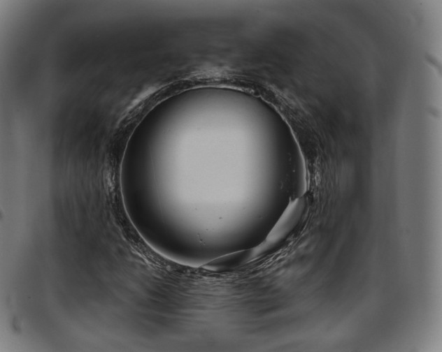 X0000097631206200802291332