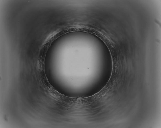 X0000097631207200802291332