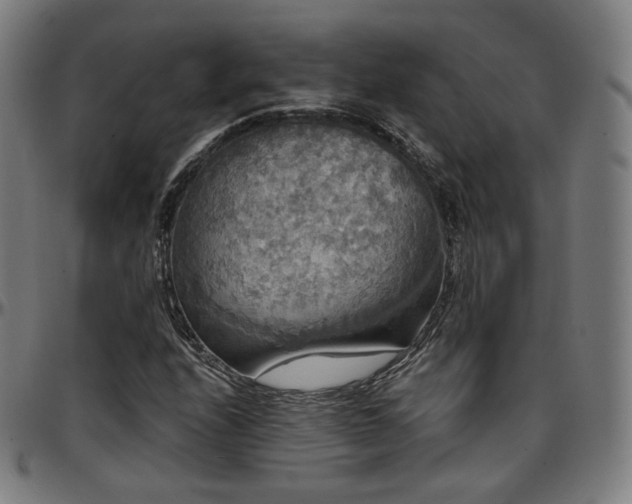 X0000097631208200802291332