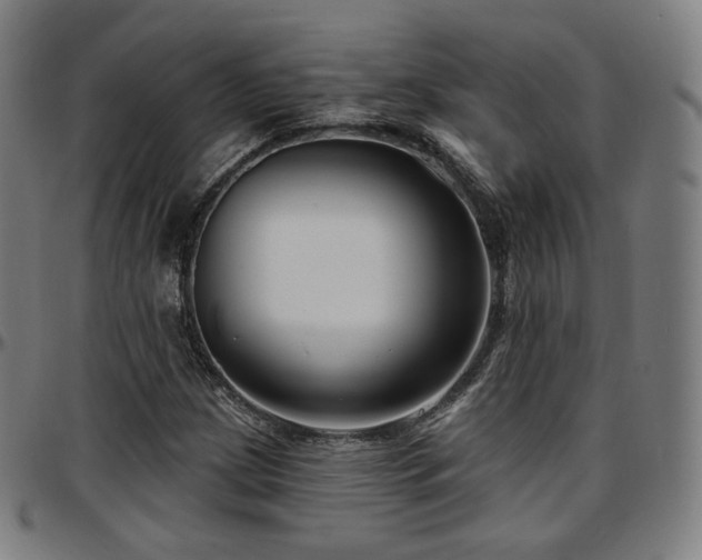 X0000097631209200802291332
