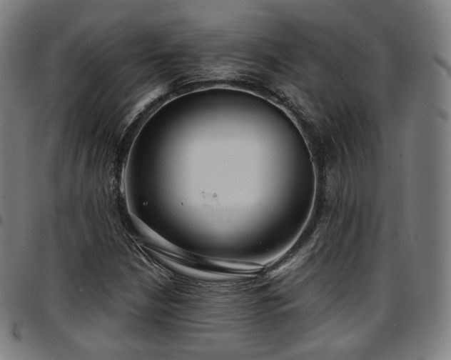 X0000097631210200802291332