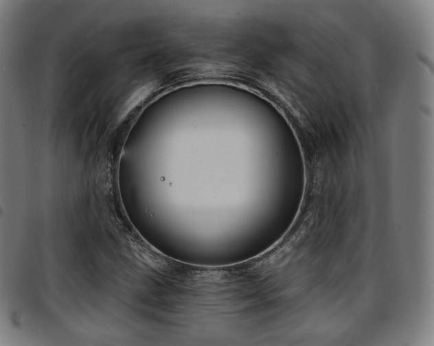 X0000097631211200802291332