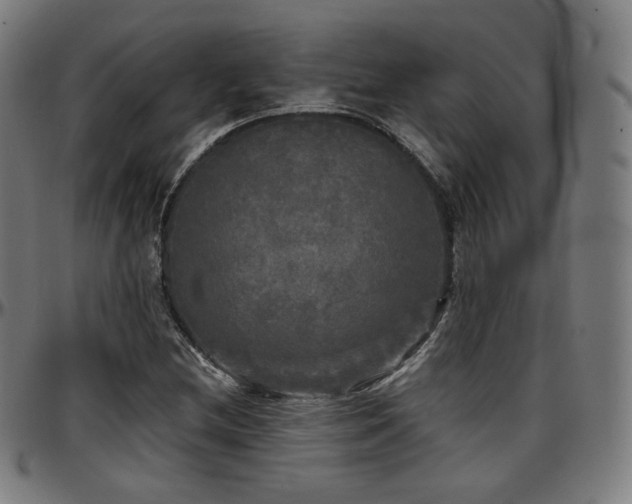 X0000097631212200802291332