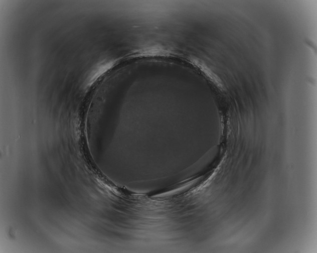 X0000097631213200802291332
