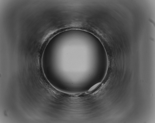 X0000097631214200802291332