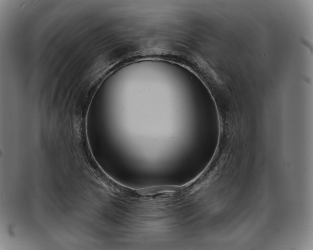 X0000097631217200802291332