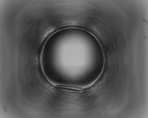 X0000097631218200802291332