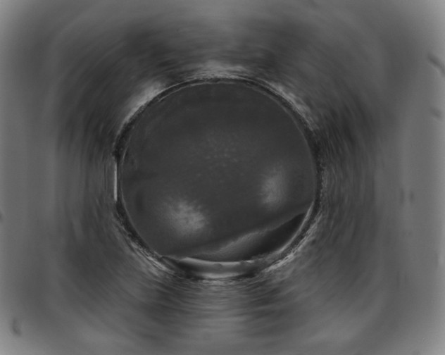 X0000097631219200802291332