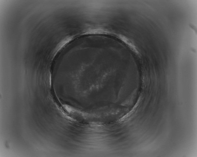 X0000097631221200802291332