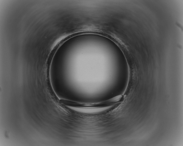 X0000097631222200802291332