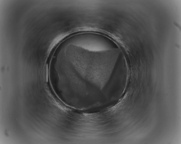 X0000097631223200802291332