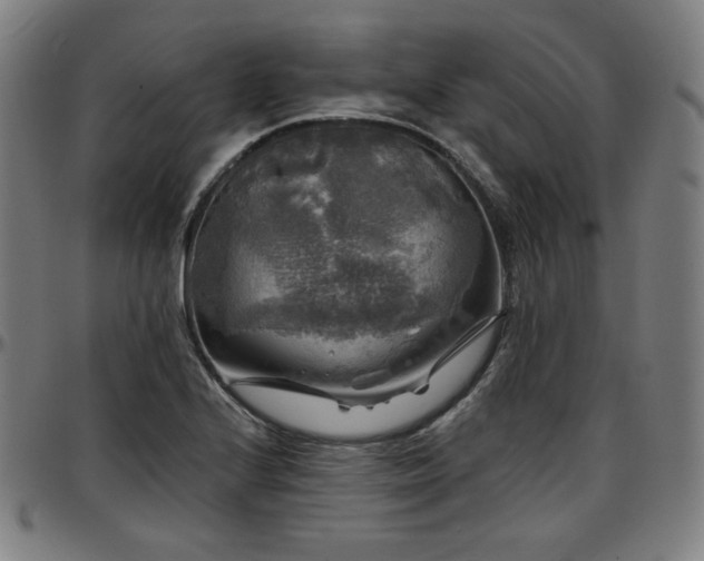 X0000097631224200802291332