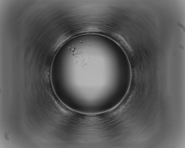 X0000097631225200802291332