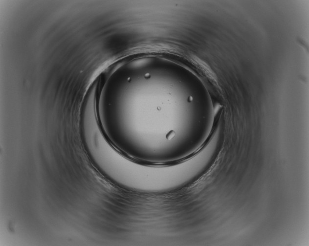 X0000097631226200802291332