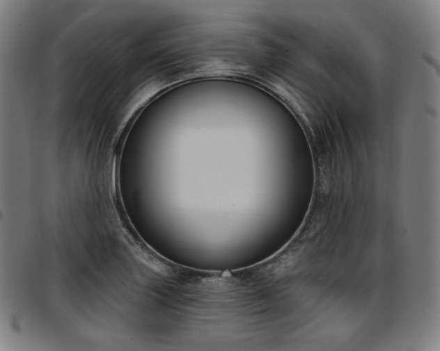 X0000097631227200802291332