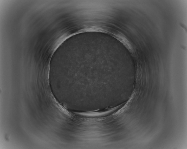 X0000097631228200802291332