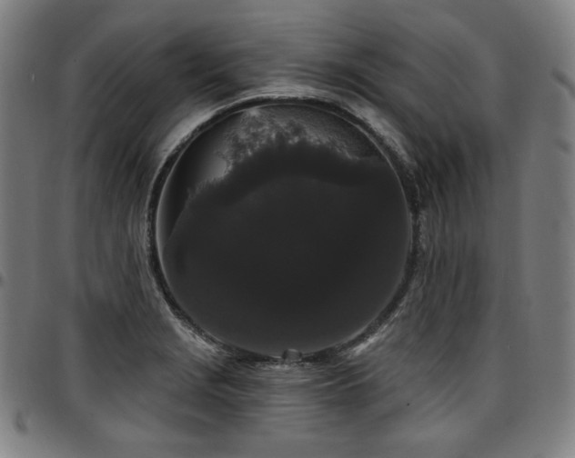 X0000097631229200802291332