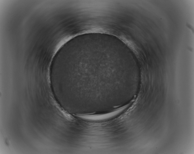 X0000097631230200802291332