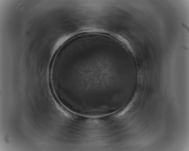 X0000097631231200802291332