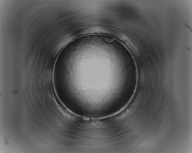 X0000097631233200802291332