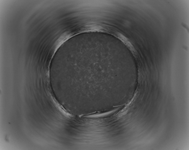 X0000097631234200802291332
