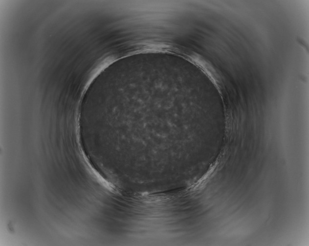 X0000097631235200802291332