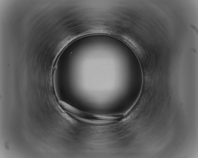 X0000097631236200802291332