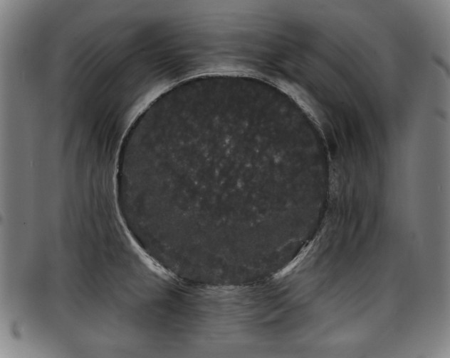 X0000097631237200802291332