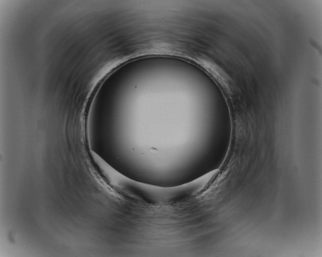 X0000097631238200802291332
