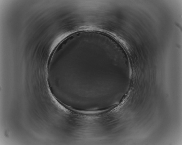 X0000097631239200802291332