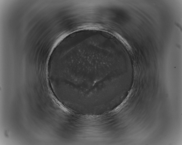 X0000097631240200802291332