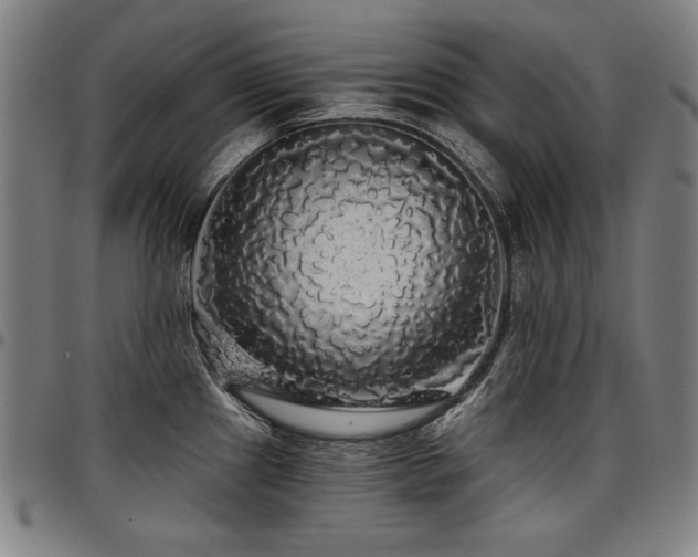 X0000097631241200802291332