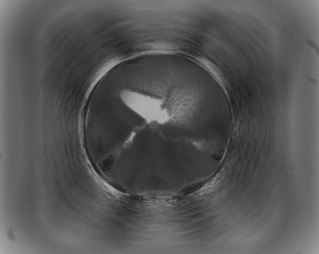 X0000097631243200802291332