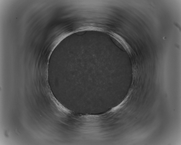 X0000097631244200802291332